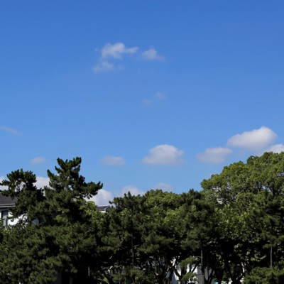 GC-2020气相色谱仪在华东理工大学应用于手性药物分析 GC-2020气相色谱仪在华东理工大学应用于手性药物分析