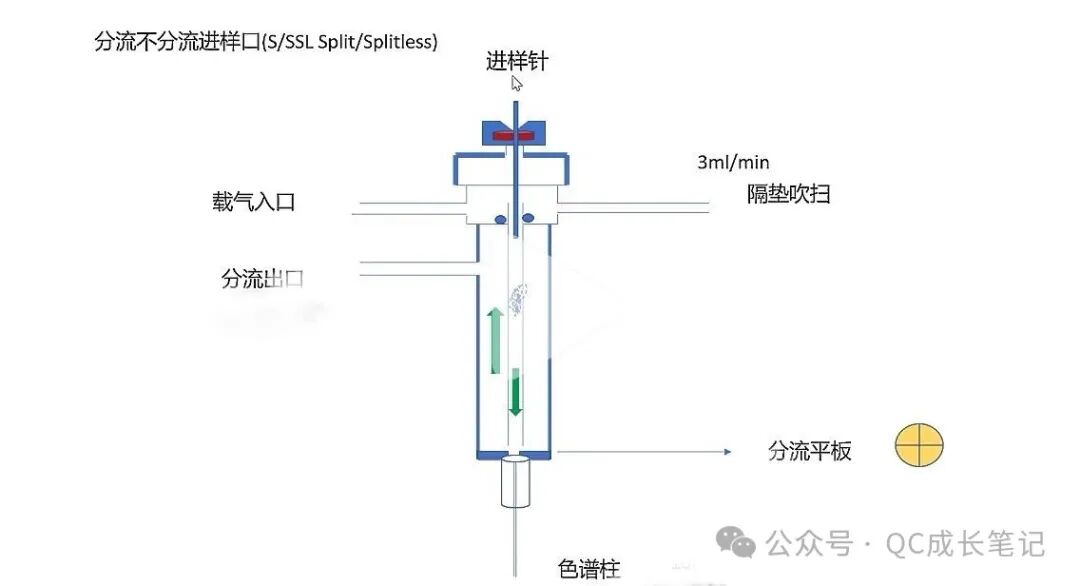 气相色谱进样口:分流比与总流量原理及计算详解 气相色谱进样口:分流比与总流量原理及计算详解