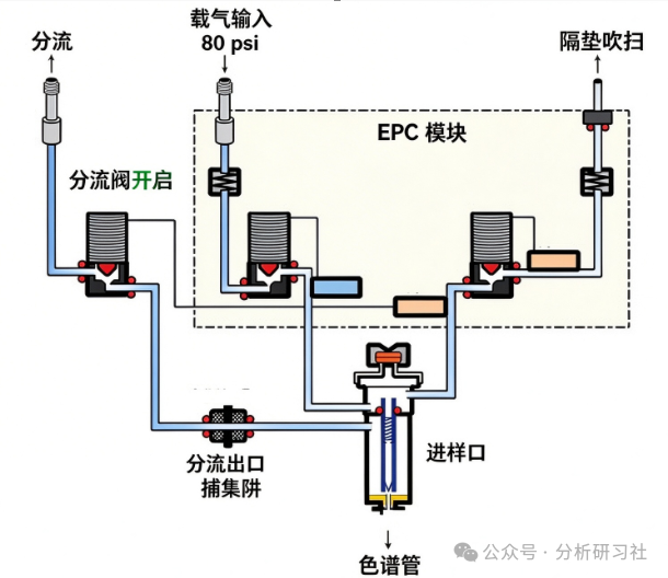 进样口:气相色谱的“咽喉要道”,一文讲透结构与进样方式 进样口:气相色谱的“咽喉要道”,一文讲透结构与进样方式